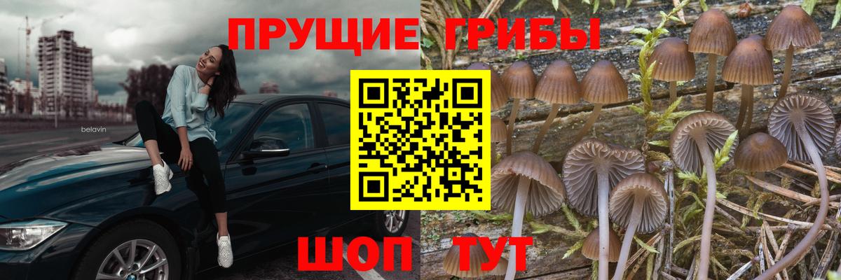 Галлюциногенные грибы мицелий Батайск